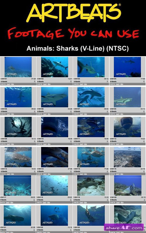 Artbeats - Animals: Sharks (V-Line) (NTSC)