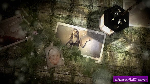 Light Photo Gallery - Project for After Effects (VideoHive)