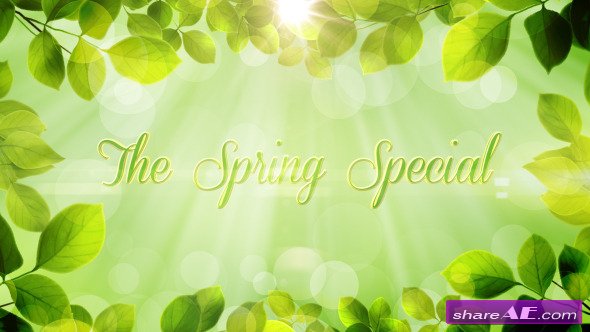 The Spring Special - Promo Pack - Project for After Effects (Videohive)