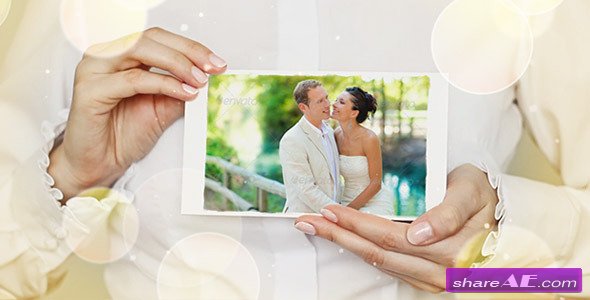Beautiful Wedding Story Collection - Project for After Effects (Videohive)