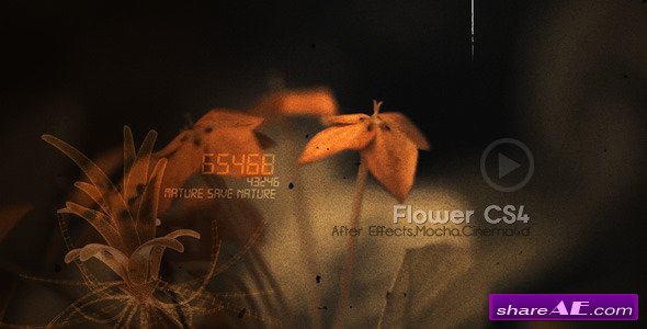 Flowers CS4 - After Effects Project (Videohive)