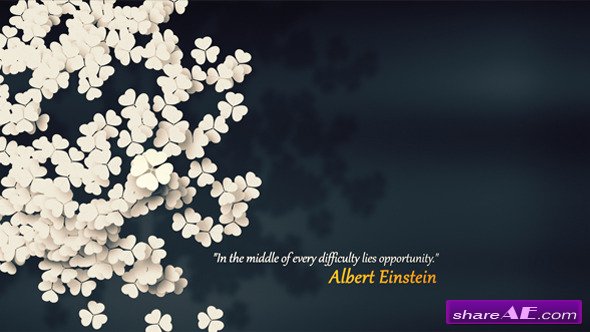 One Opportunity - After Effects Project (Videohive)