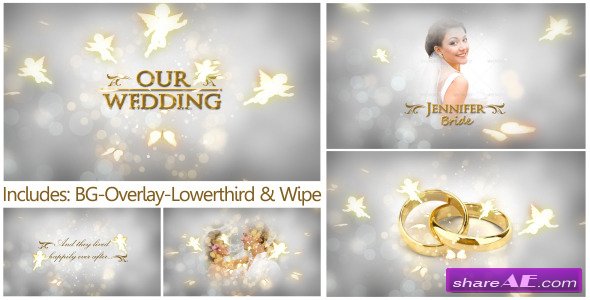 Our Wedding - The Complete Pack - After Effects Project (Videohive)
