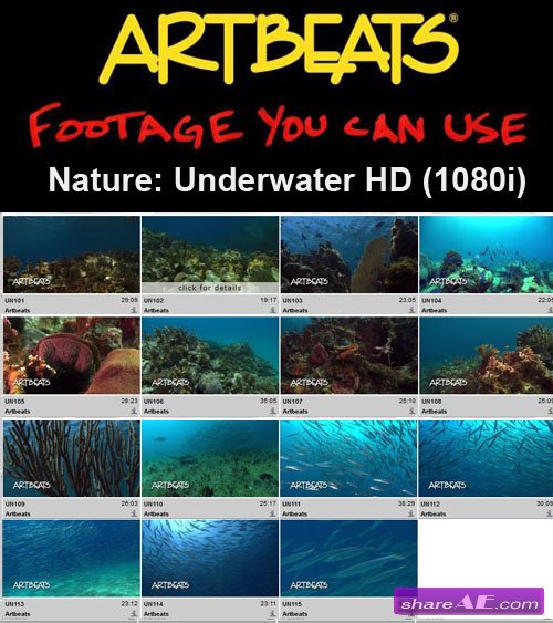Artbeats - Nature: Underwater HD (1080i)