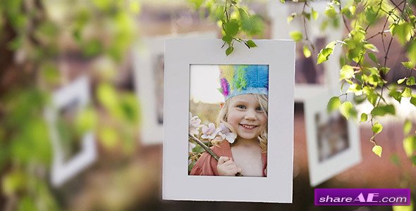 Photo Gallery on a Sunny Afternoon - Project for After Effects (Videohive)