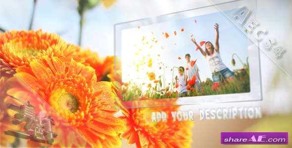 Sunny Flowers - After Effects Project (Videohive)