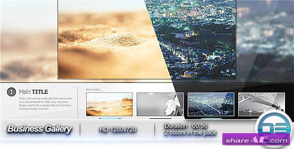 Business Gallery - After Effects Project (VideoHive)