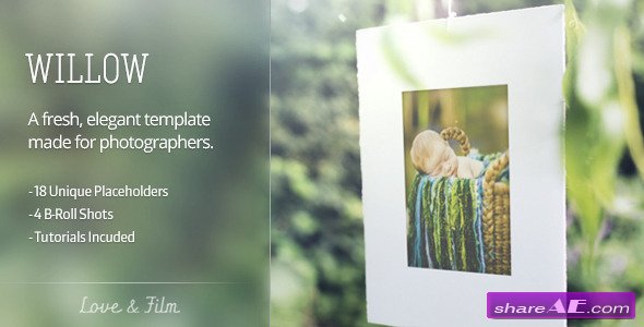 Willow - After Effects Project (Videohive)