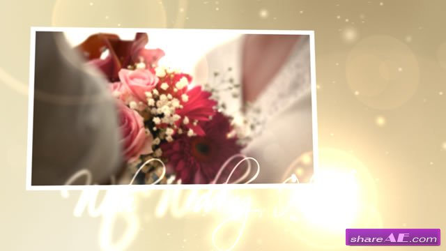 Wedding Hearts CS4 - After Effects Project (VideoHive)
