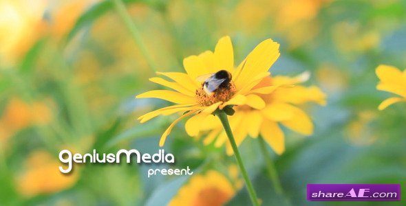 Photo Gallery on a Flower Holiday - After Effects Project (Videohive)