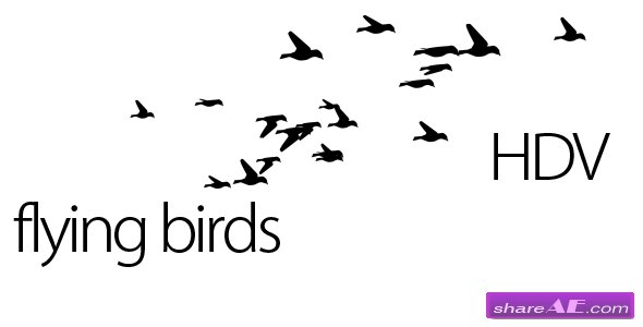 Flying Birds - Motion Graphics (Videohive)