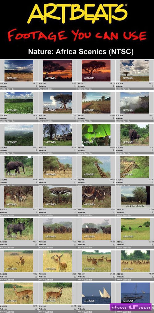 Artbeats - Nature: Africa Scenics (NTSC)