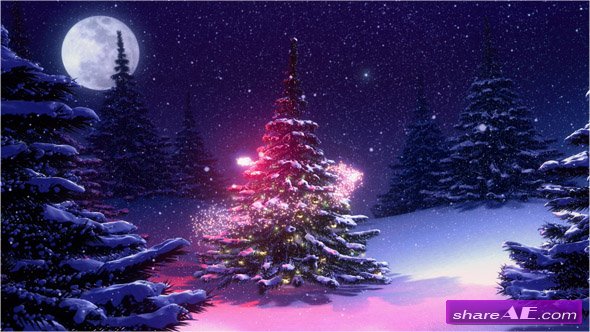 Winter Landscape With Christmas Tree Decorated - Stock Footage (iStock Video)