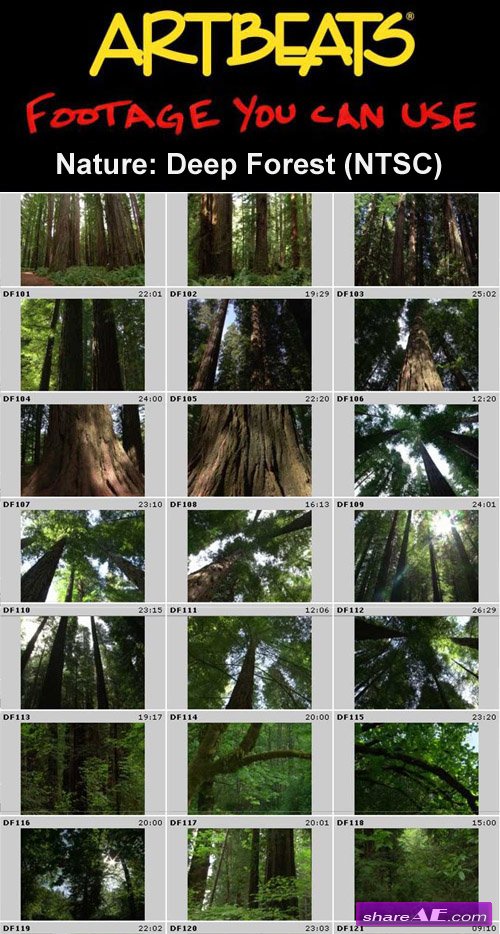 Artbeats - Nature: Deep Forest (NTSC)