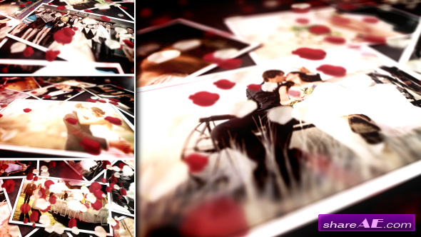 Floral Wedding Photos - After Effects Project (Videohive)