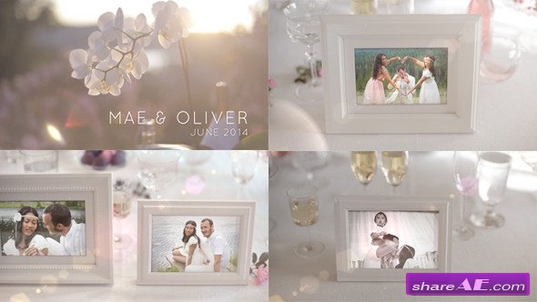 White Photo Gallery - Special Events - After Effects Project (Videohive)