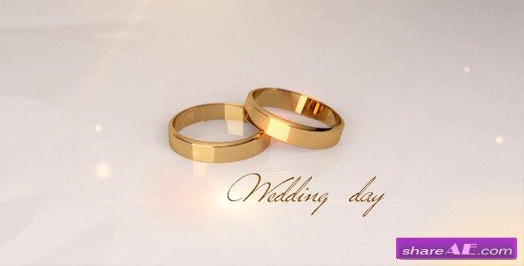 Wedding day - After Effects Project (Videohive)