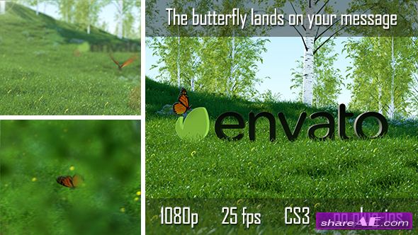 Butterfly Logo Reveal 6735223 - After Effects Project (Videohive)