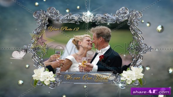 Our Elegant Wedding Montage - After Effects Project (RevoStock)