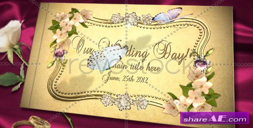 Our Wedding Day Album - After Effects Project (Revostock)