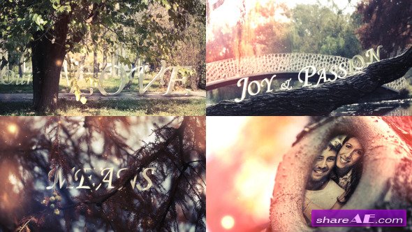 Hollow Love - After Effects Project (Videohive)