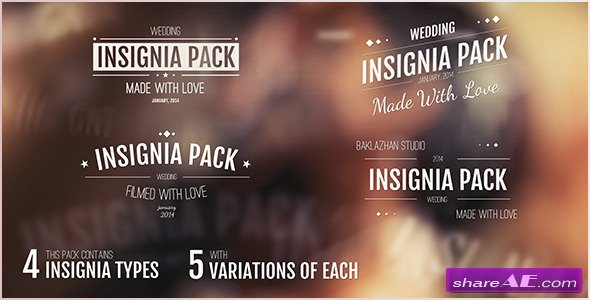 20in1 Intro Insignias Pack - After Effects Project (Videohive)