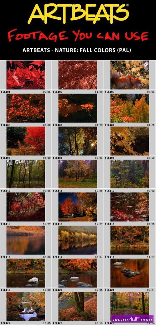 Artbeats - Nature: Fall Colors (PAL)