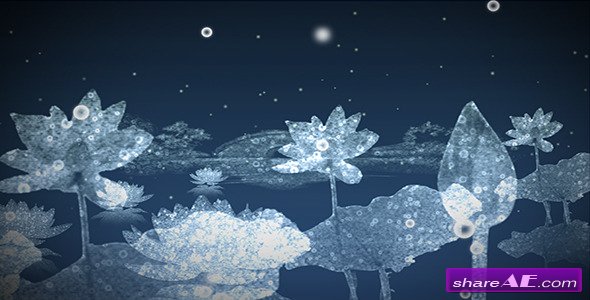 Water Flowers - Motion Graphic (Videohive)