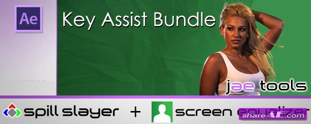 Key Assist Bundle v1.0 (Spill Slayer + Screen Equalizer)