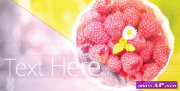 Videohive Elegant Slide Show - After Effects Project 