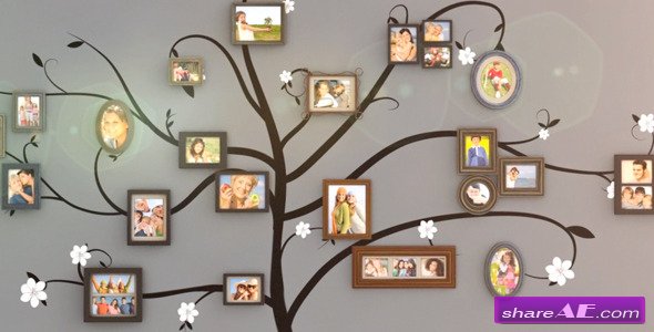 Videohive Family Tree Wall Gallery - After Effects Project
