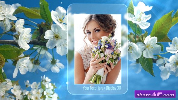 Videohive Photo Gallery Spring Blossoms - After Effects Projects