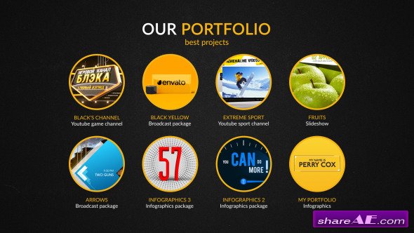 Videohive Advertising Agency Infographics