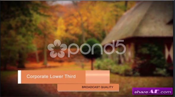 Corporate Lower Third Pack - After Effects Templates (Pond5)