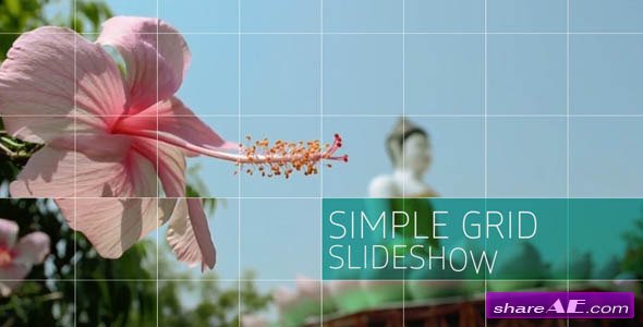 Simple Grid Slideshow - Videohive