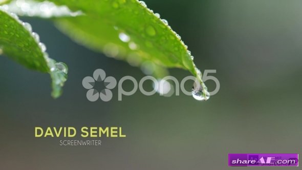 Simple Lower Third - After Effects Templates (Pond5)