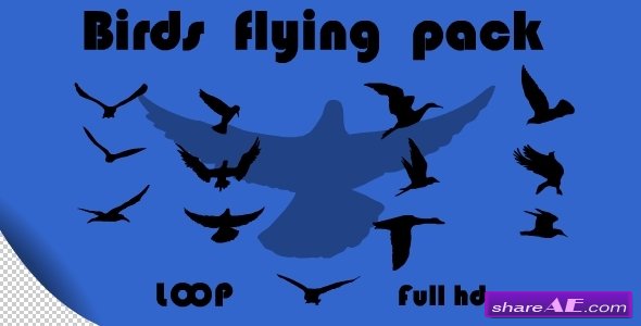 Birds Flying Pack - Motion Graphic (Videohive)