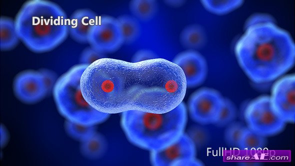 Dividing Cell - Motion Graphic (Videohive)