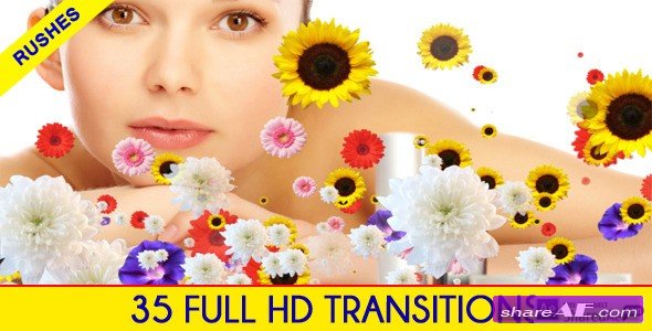 Editors Transition Pack - Motion Graphics (Videohive)