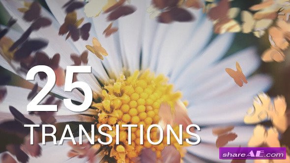Videohive Butterflies Transitions