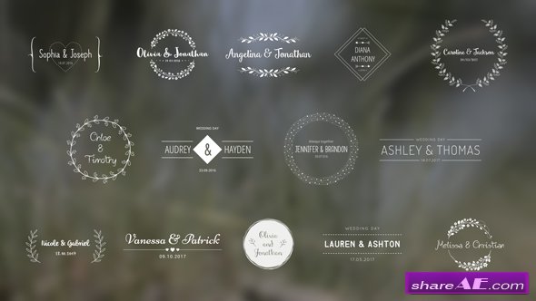 Videohive Wedding Titles 18849528