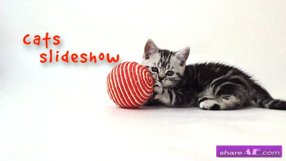 Videohive Cats Slideshow