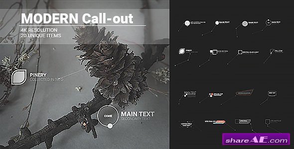 Videohive Modern Call-outs