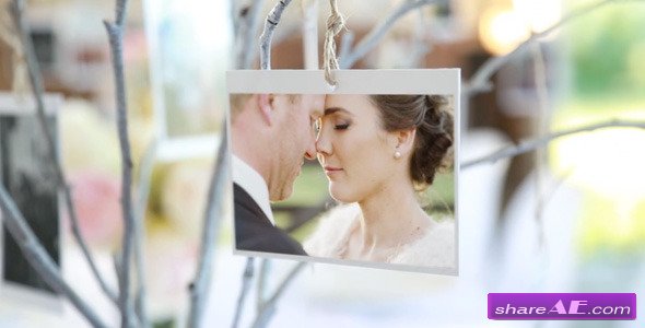 Photo Gallery at a Country Wedding - After Effects Project (Videohive)