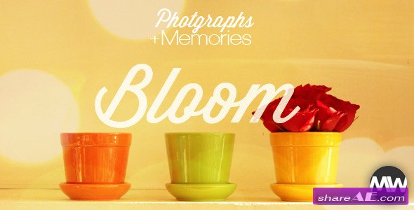 Photographs and Memories Bloom - After Effects Project (Videohive)