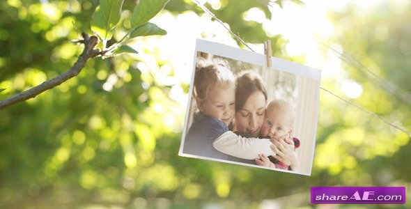 Photo Gallery in a Sunny Orchard - After Effects Project (Videohive)
