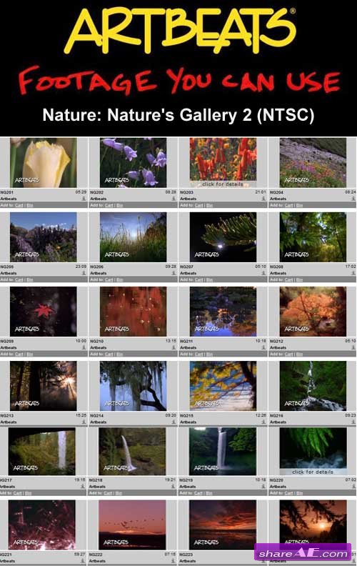 Artbeats - Nature: Nature's Gallery 2 (NTSC)