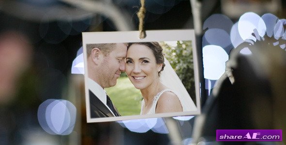 Photo Gallery at a Country Wedding II - After Effects Project (Videohive)