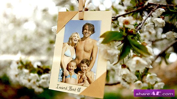 Photos Hanging in an Orchard - After Effects Project (Videohive)