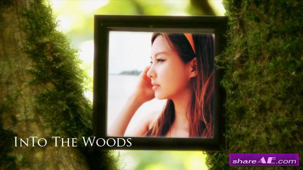 Into The Woods V1.0 - After Effects Project (Videohive)